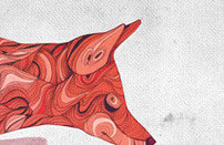 发卡网一手的网页攻击平台